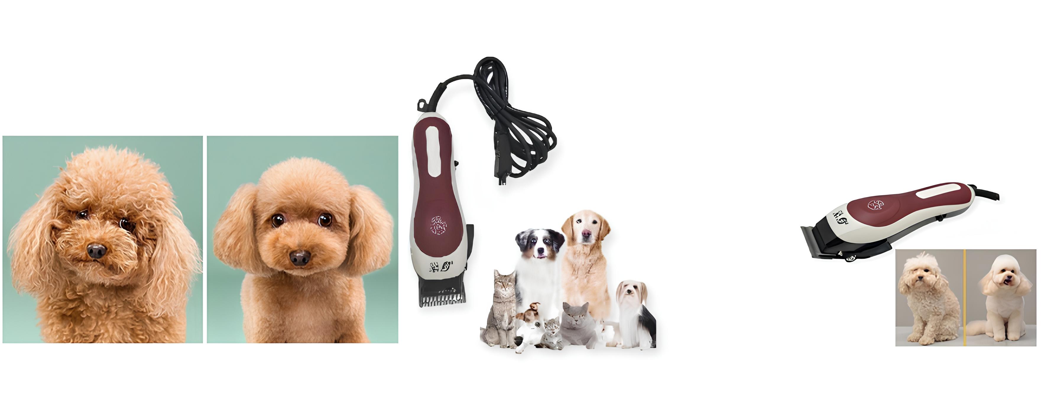 FYC RF-566 Elektrikli Köpek Tıraş Makinesi: Köpek Bakımında En İyi Seçeneklerden Birisi